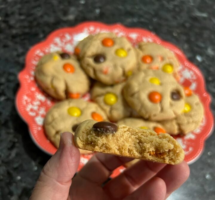 Peanut Butter Reese's Pieces Cookies interior view