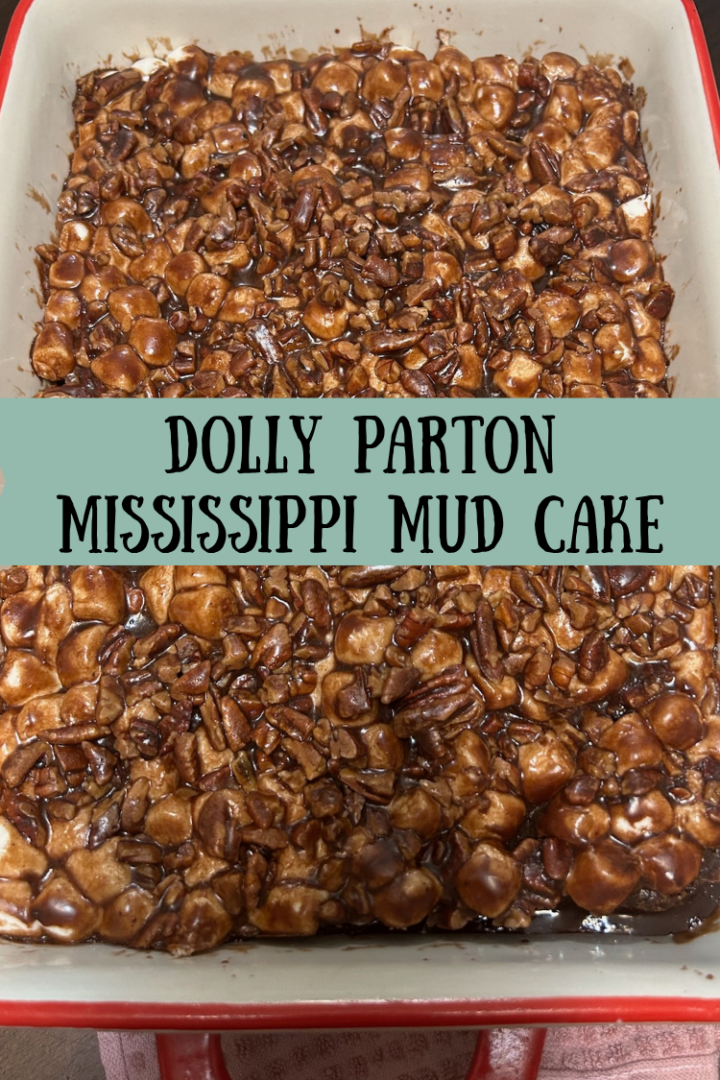 Dolly Parton Mississippi mud cake