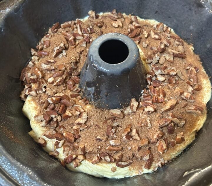 adding the layer of cinnamon sugar and pecans on top of first layer of cake batter for sock it to me cake