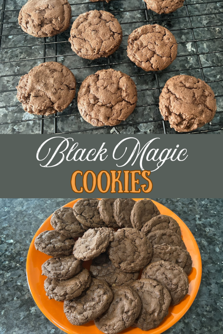 Black Magic Cookies (Soft and Fudgy)