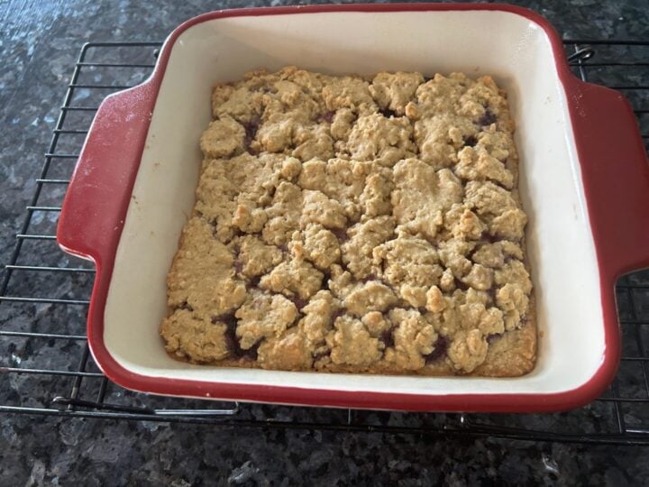 Soft-Baked Fruit and Grain Bars (Easy Homemade Breakfast Bars)