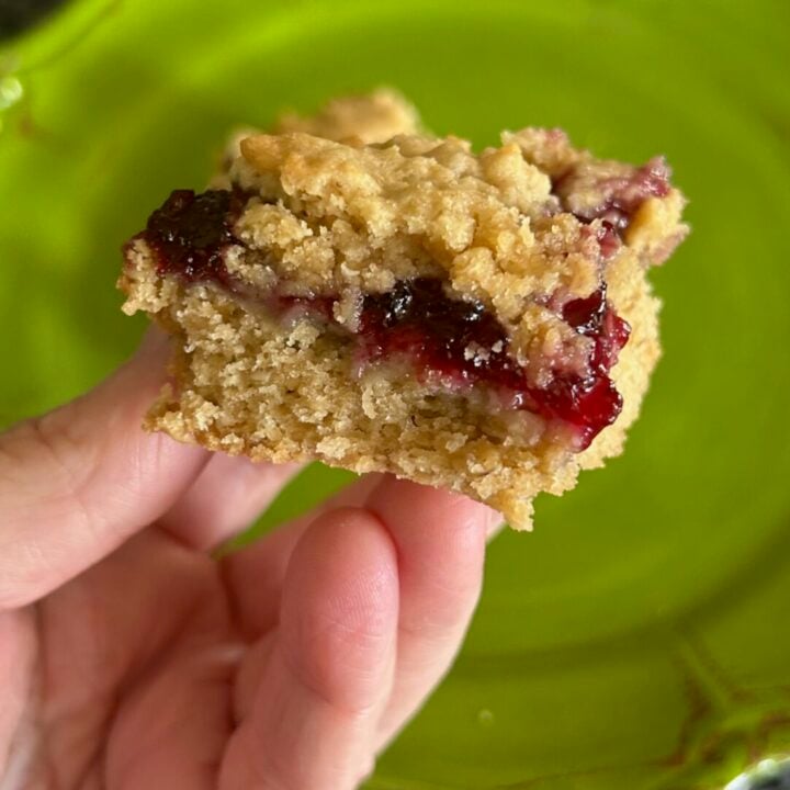 Fruit and Grain Bars