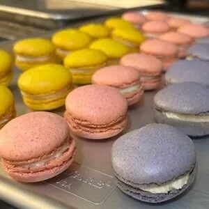 French macarons