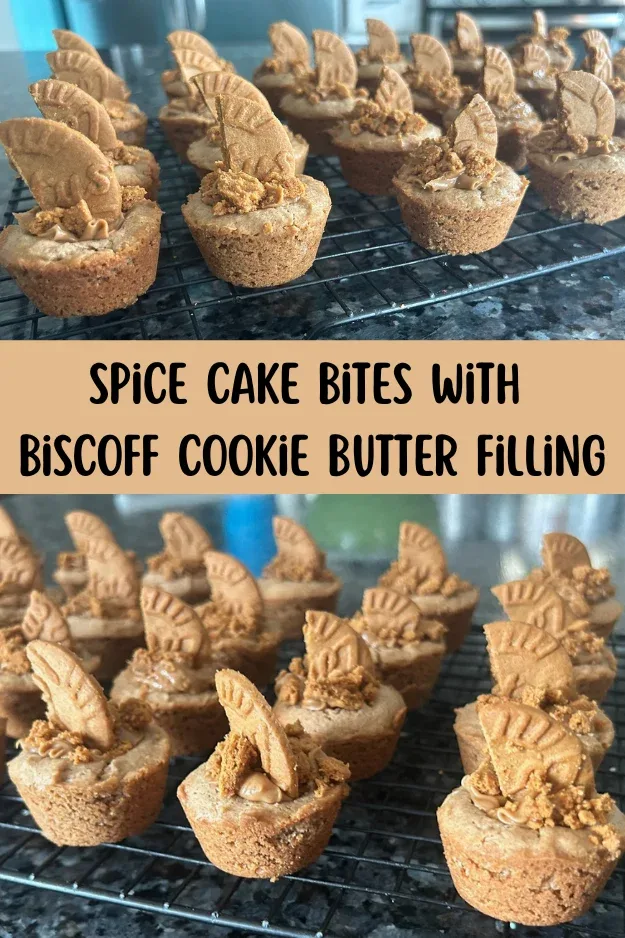 spice cake bites with biscoff