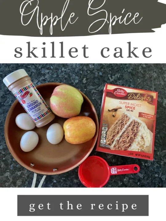 apple skillet cake