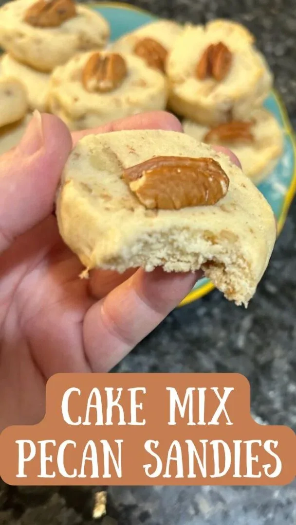 pecan sandies from a cake mix