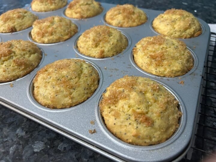easy lemon poppy seed muffins