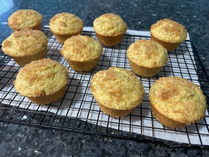 easy lemon poppy seed muffins