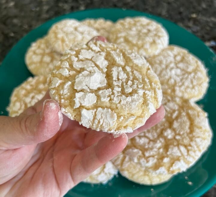 Easy Sugar Crinkle Cookies (Cake Mix Recipe)