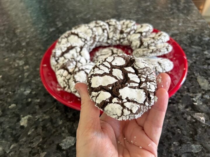 Easy Chocolate Crinkle Cookies (Cake Mix Recipe)