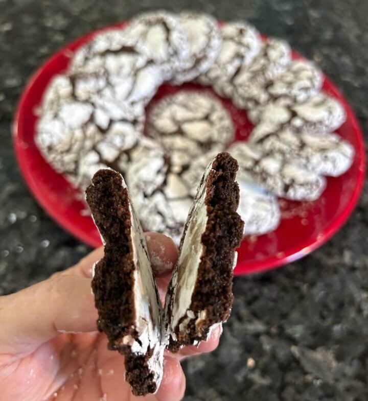 Easy Chocolate Crinkle Cookies (Cake Mix Recipe)